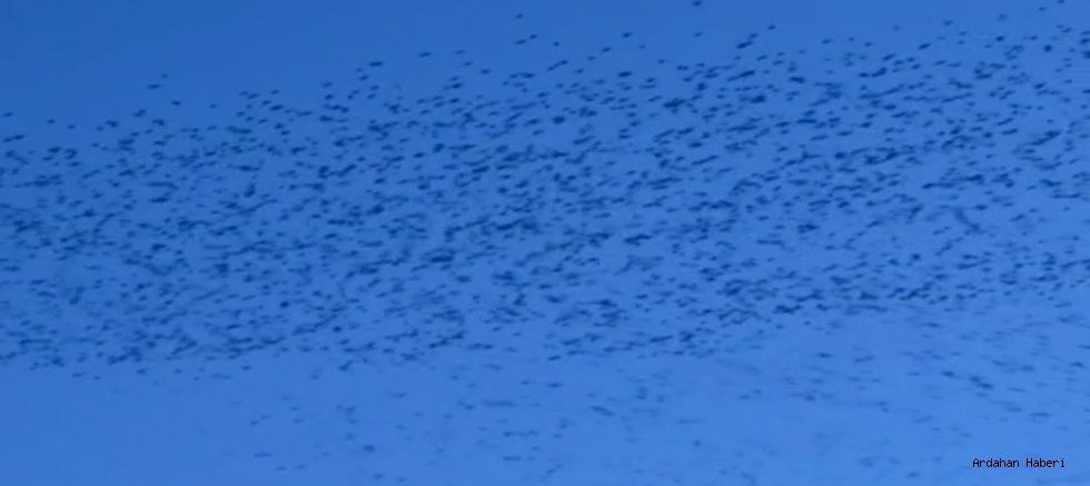 Ardahan Semalarında Görsel Şölen