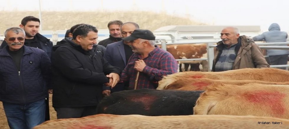 Ardahan yaylalarından pazara: kurbanlıklar görücüye çıktı