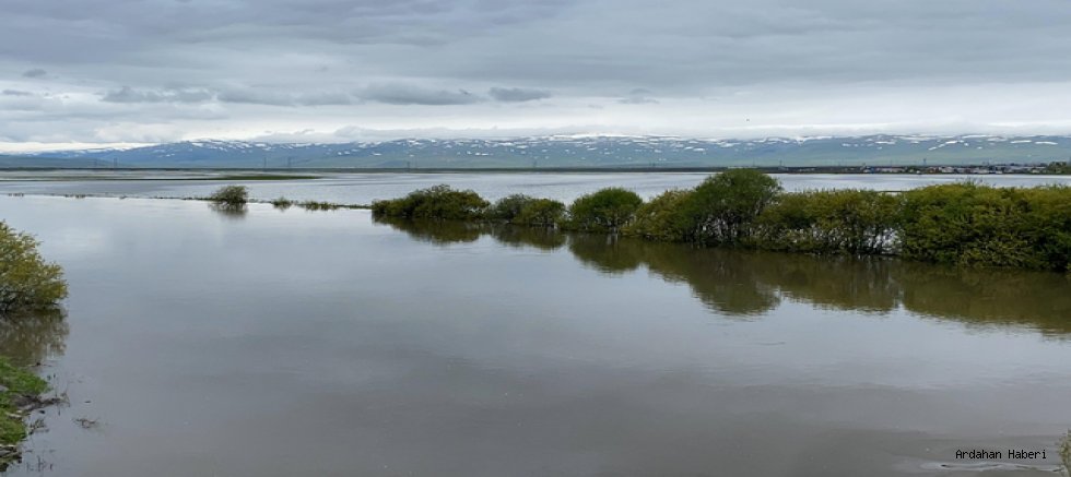 Ardahanda 2 gündür yağan yağmur nedeniyle Kura Nehri taştı Ardahan Ovası suyla kaplandı