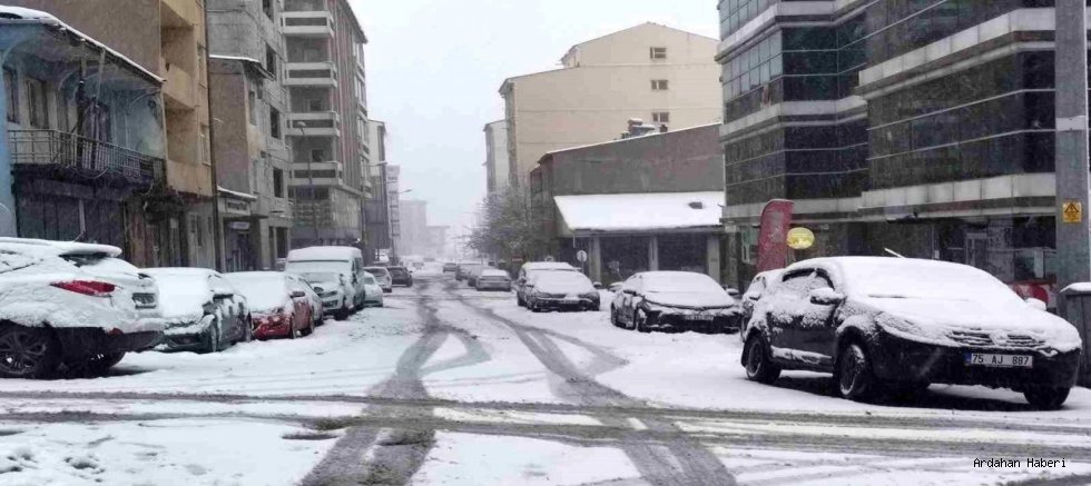 Bahar Beklerken Kış Geri Geldi: Ardahan'da Kar Esareti
