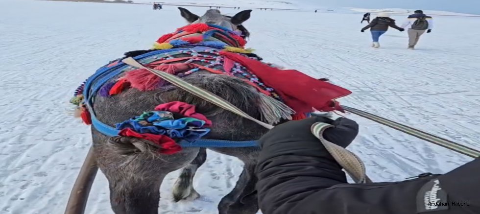 Çıldır Gölü’nde Buzdan Elveda: Atlı Kızak Sezonu Kapandı