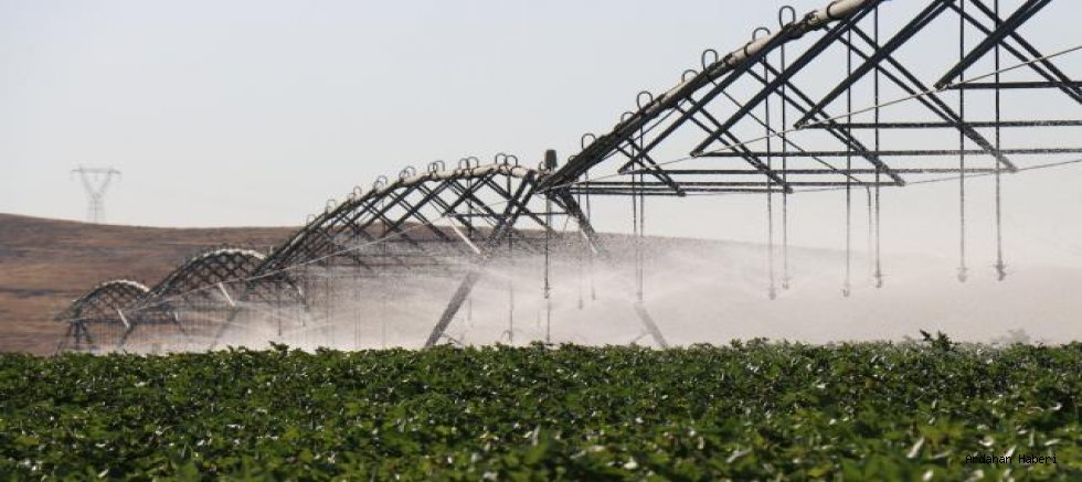 DAP’tan Doğu Anadolu’ya 12 Yılda 13,4 Milyar Liralık Destek