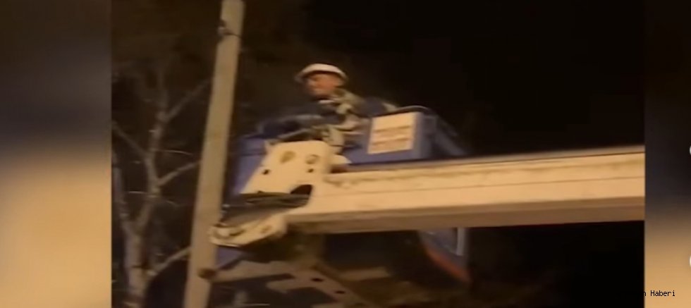 Göle’de Aras EDAŞ ekiplerinden örnek davranış: Direkte mahsur kalan kedi kurtarıldı