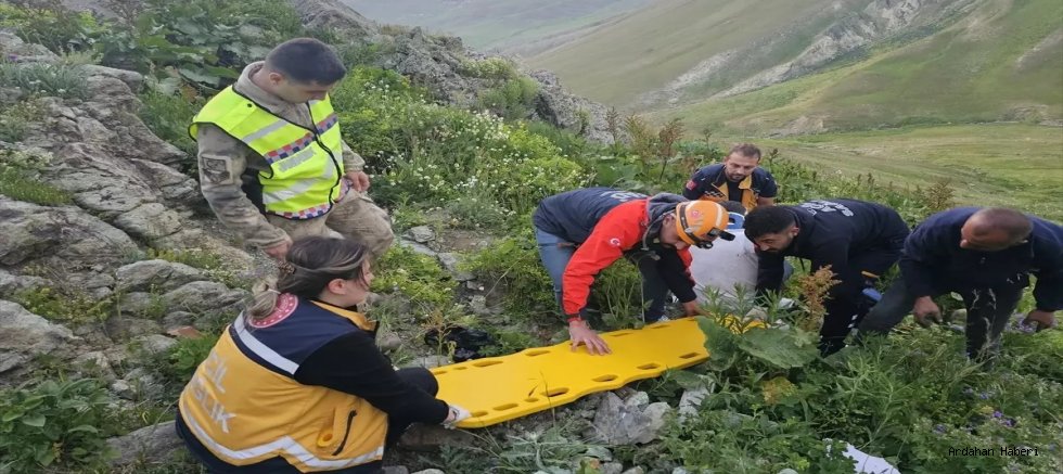 Göle de uçuruma yuvarlanan otomobildeki sürücü ve yolcu yaralandı, hastaneye kaldırıldı