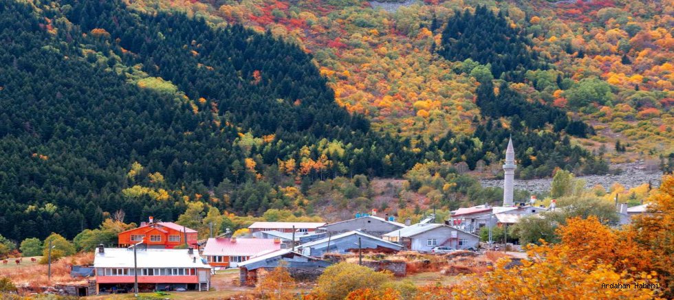 Posof, Sakin Şehir Yolunda Kritik Eşiği Aştı