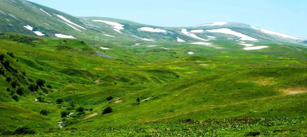 Posof ta, haziran ayıyla birlikte yaylaya çıkışlar başladı