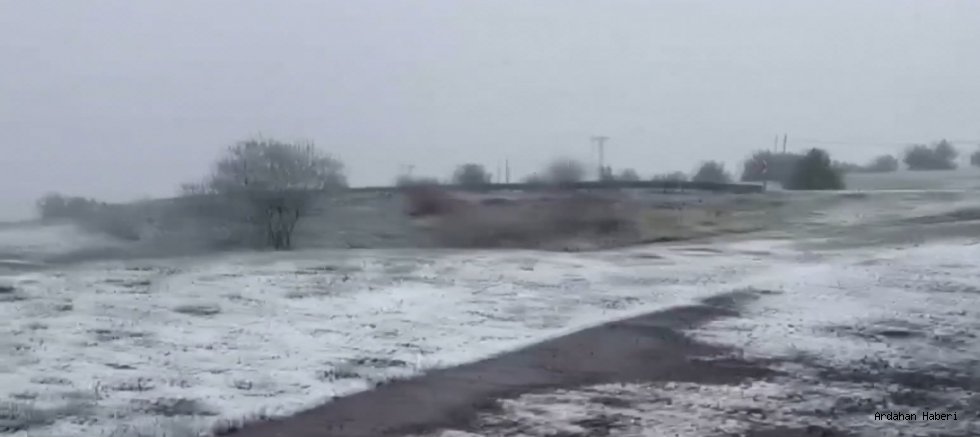 Posof’ta Haziran Sürprizi: Yaylalar Beyaza Büründü!