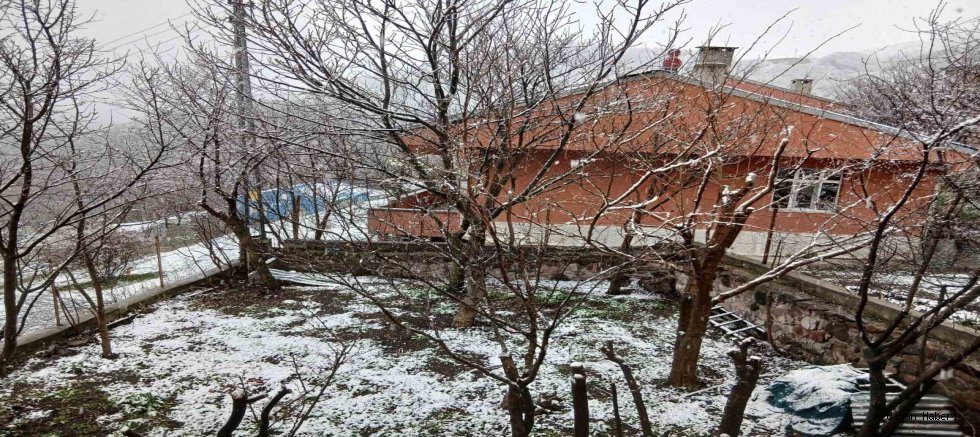 Posof’ta Nisan Sürprizi: Yeşil ile Beyazın Büyüleyici Buluşması