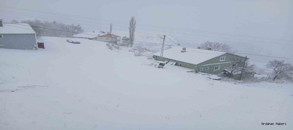 Posof’ta Yoğun Kar Hayatı Durdurdu