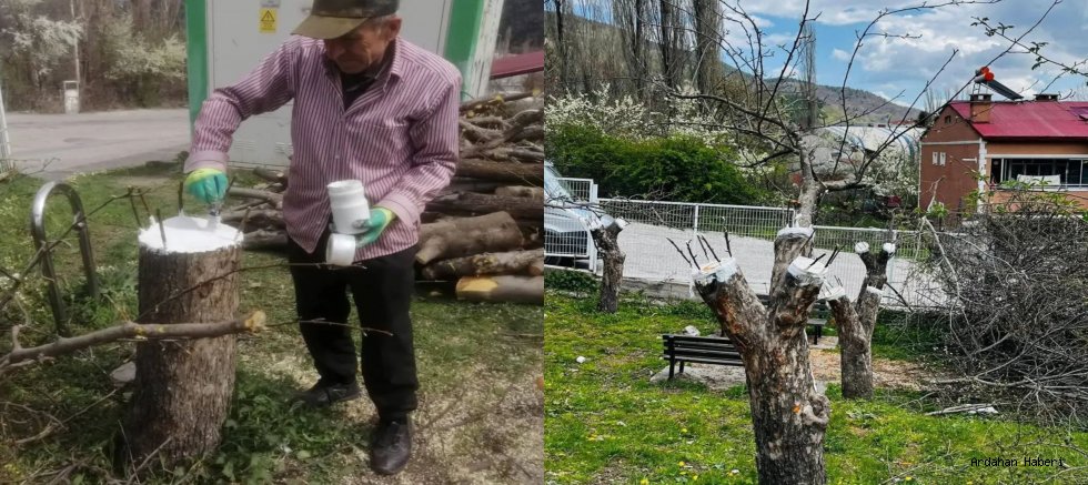 Posof’un Genetik Mirası Güvence Altında: Meyve Çeşitleri Gen Bahçesi Kuruldu