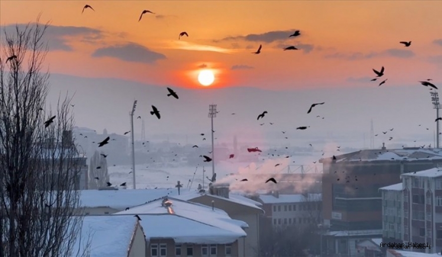 TÜİK 2025 nüfus verilerini açıkladı: Türkiye’nin nüfusu 86 milyonu aştı Ardahanın Nüfusu 90 bin 392