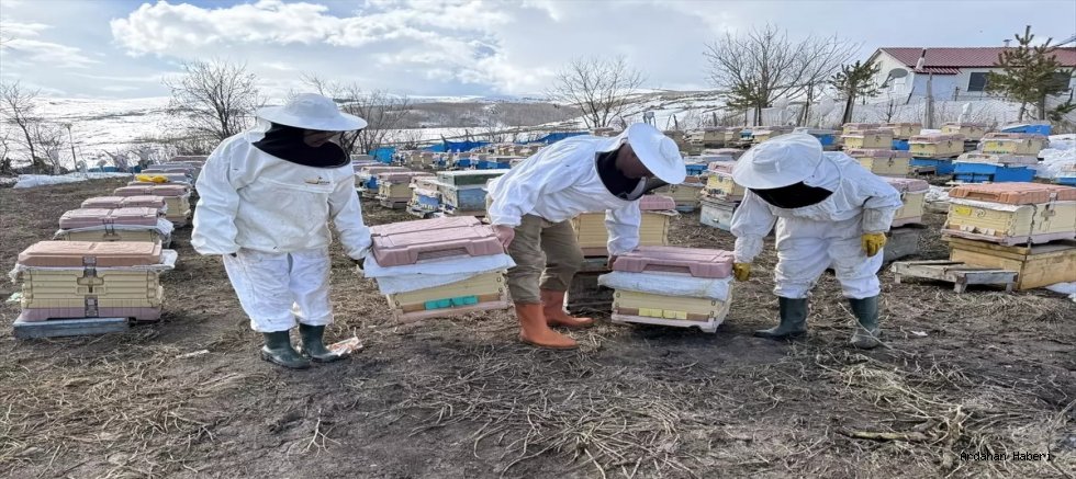 Yüzde 70 Kayıptan Sıfır Zayiata: Ardahanlı Arıcının Nem İle Savaşı