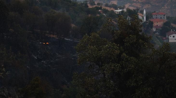 Malatya'daki orman yangını söndürüldü