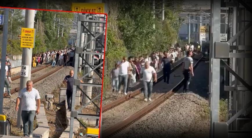Marmaray'da beklenmedik olay! Hatta ağaç devrildi, yolcular demir yolunda yürüdü
