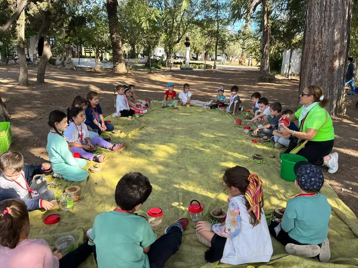 Minik Eller Zeytin Hasadında: Zeytinpark’ta Kışa Hazırlık Başladı