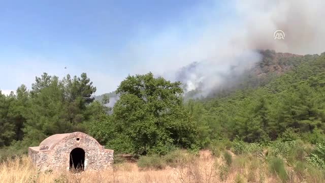 Muğla'da orman yangını 
