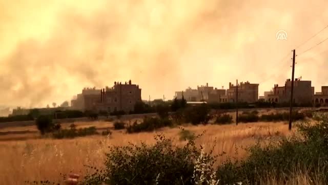 Nusaybin'de orman yangını