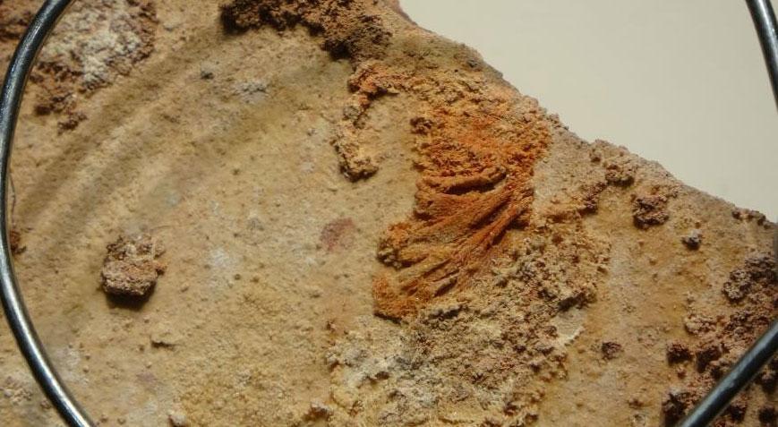 Paha biçilemiyor! Tam 3 bin 500 yıllık, ilk kez görücüye çıktı