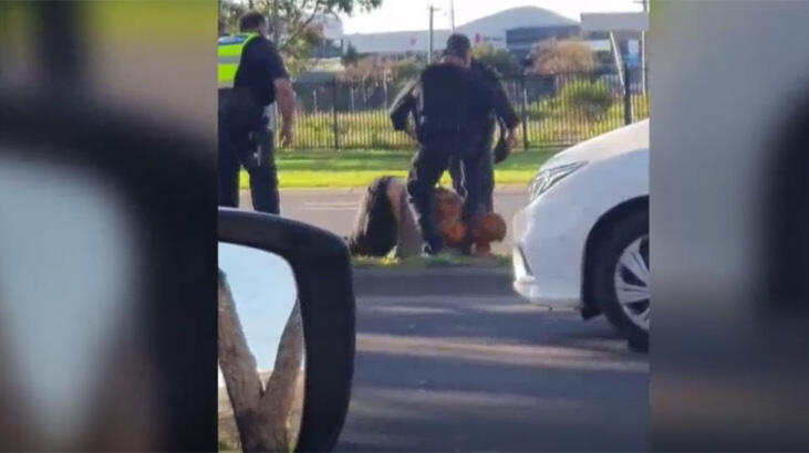 Polis komaya soktu! Olay görüntüler...