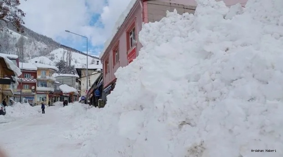 Posof son 50 yılın yoğun kar yağışına maruz kaldı