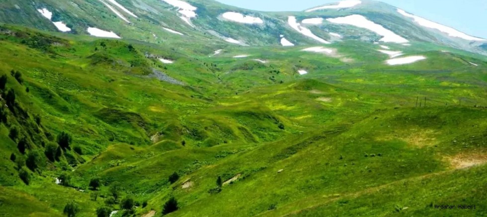 Posof ta, haziran ayıyla birlikte yaylaya çıkışlar başladı