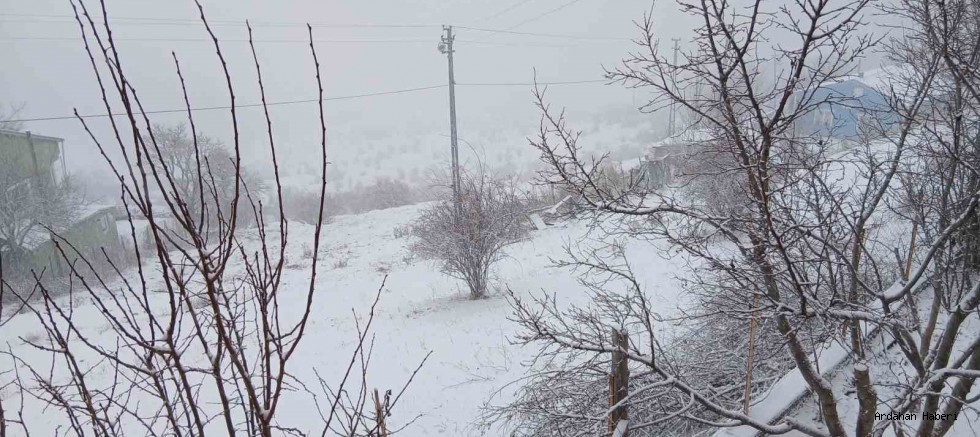 Posof’ta Kar Yağışı Hayatı Olumsuz Etkiledi