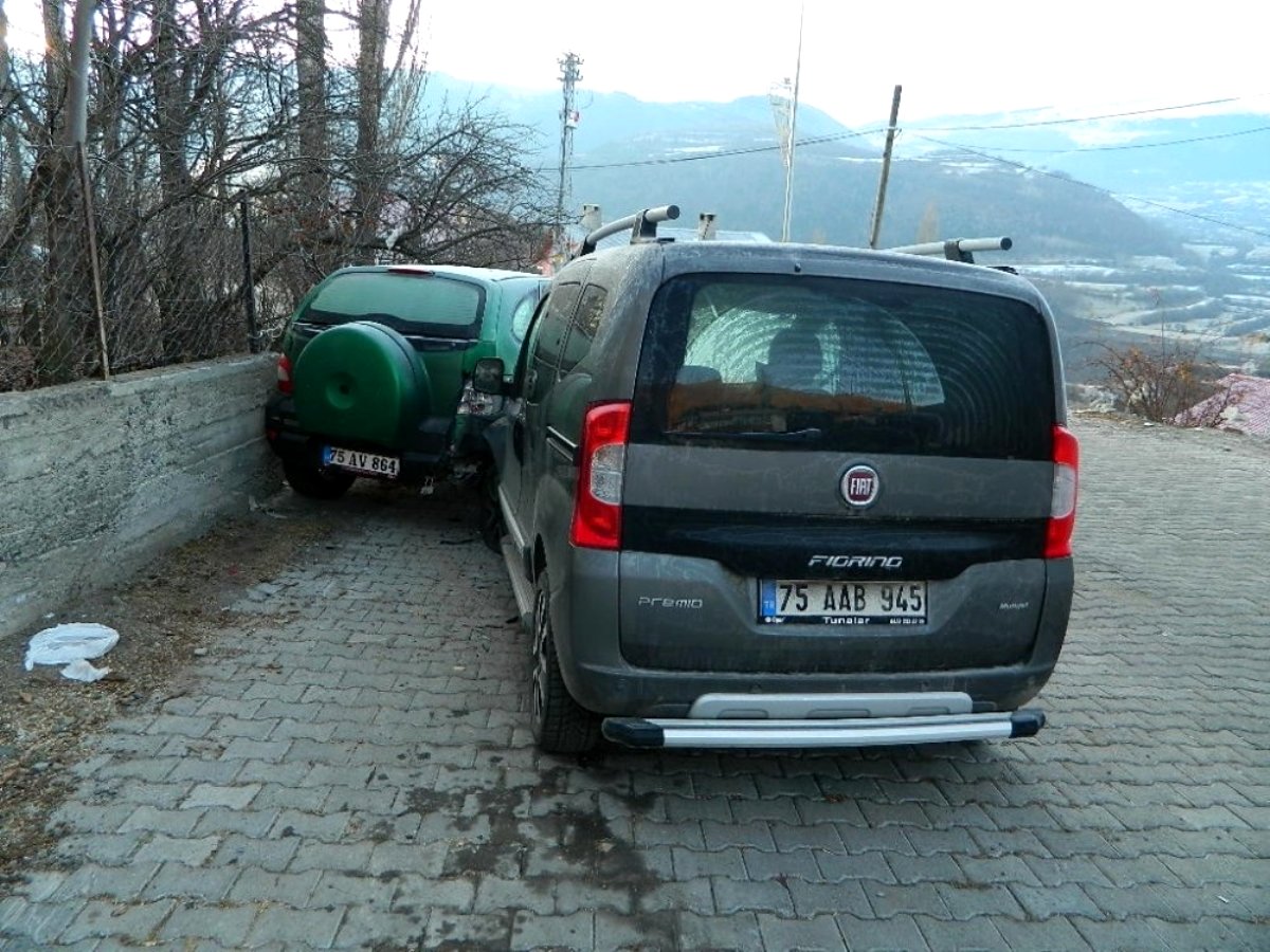 Posof ta Köpeğe çarpmamak için park halindeki araca çarptı