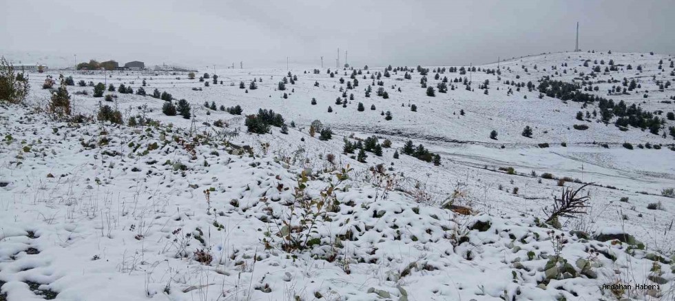 Posof’ta Mevsimin İlk Karı: İlçe Beyaza Büründü