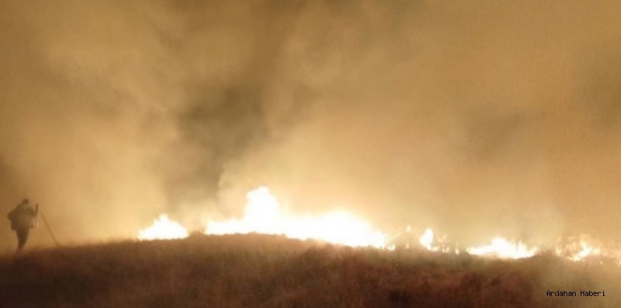 Posof’ta yayla bölgesinde çıkan yangın kısa sürede kontrol altına alındı