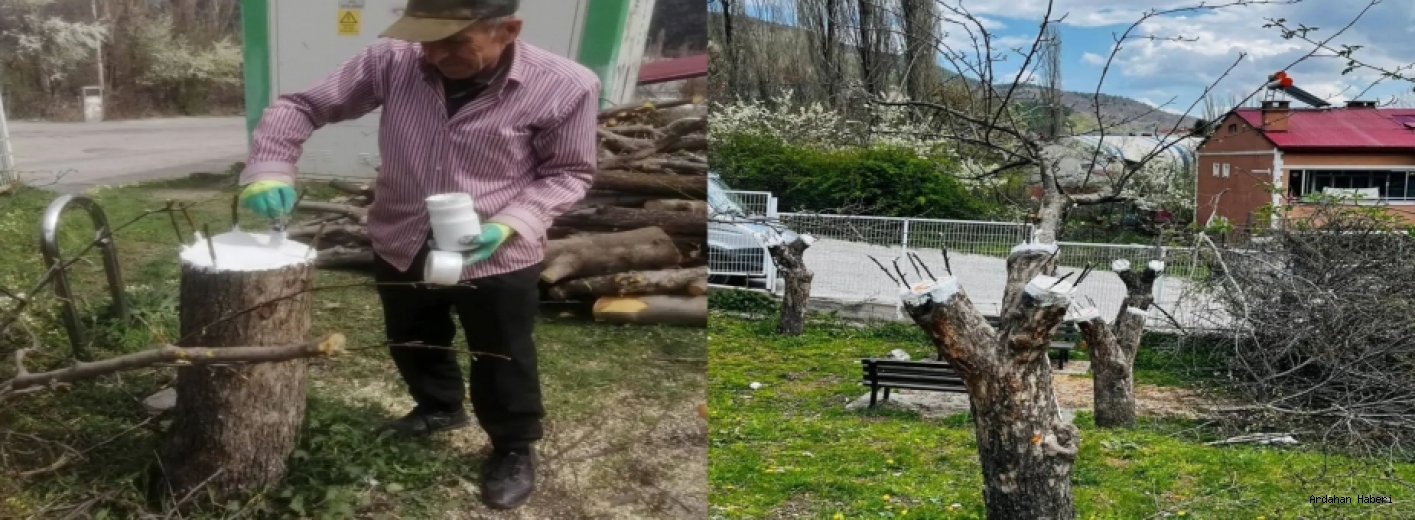 Posof’un Genetik Mirası Güvence Altında: Meyve Çeşitleri Gen Bahçesi Kuruldu