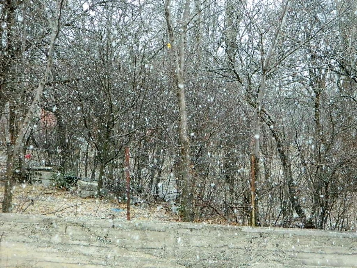 Posof'a kar yeni yıl ile geldi