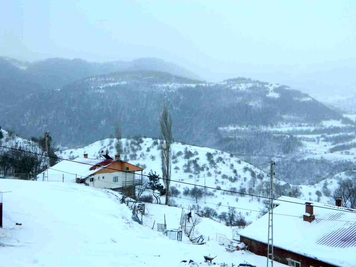 Posof'ta kar ve tipi okulları kapattı