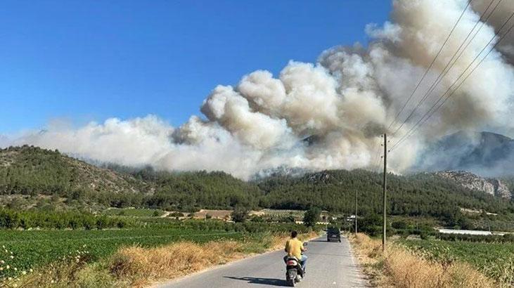 Sakarya'da orman yangını! Bir mahalle tahliye ediliyor