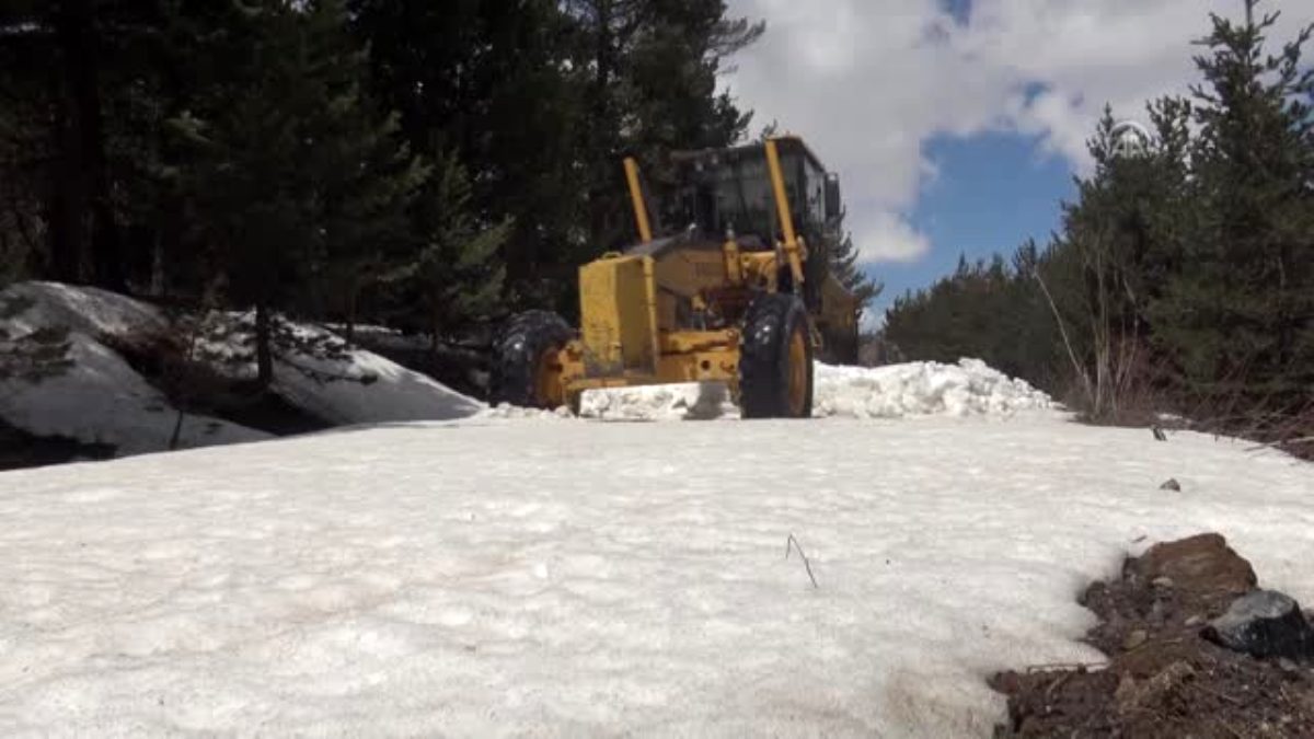 Sarıçam ormanlarında karla mücadele çalışması mayıs ayında da sürüyor