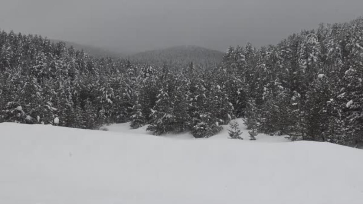 Sarıkamış'ta kar yağışı ve soğuk hava etkili oluyor