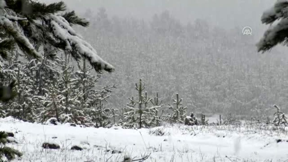 Sarıkamış'ta lapa lapa kar yağdı