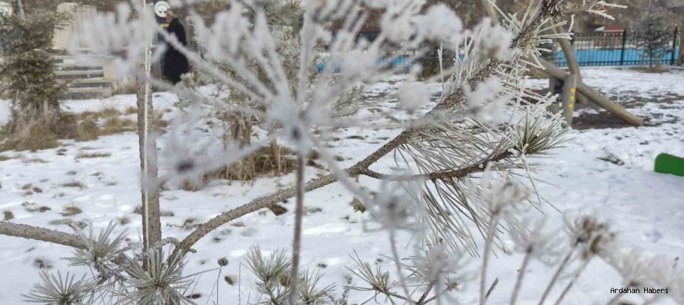 Sibirya soğuklarının etkili olduğu Ardahan’da ağaçlar kırağı tuttu, araçlar çalışmadı.