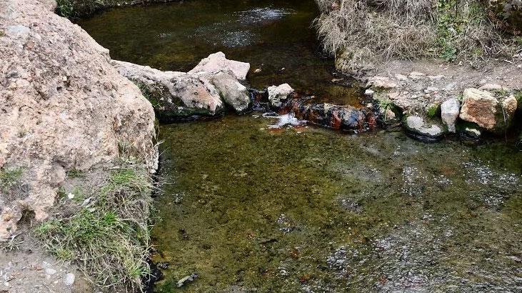 'Şifalı' denilen suya giren çift hayatını kaybetti