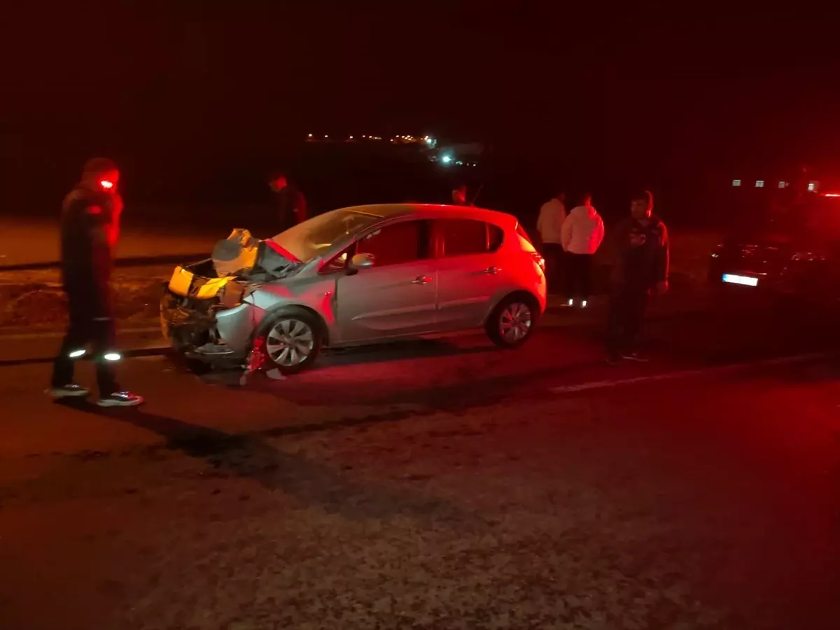 Siirt’te Otomobil Eşeğe Çarptı: 1 Yaralı