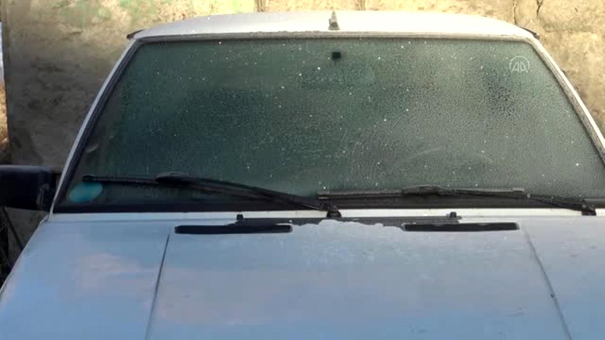 Soğuk hava nedeniyle yiyecek bulmakta zorlanan kuşlara yem verildi