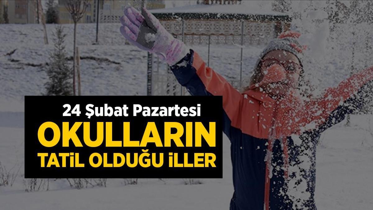 Son dakika: Eğitime kar engeli! İşte 24 Şubat Pazartesi günü okulların tatil edildiği il ve ilçeler...