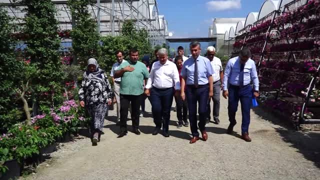 Süs bitkileri ülke ekonomisine 120 milyon lira kazandıracak