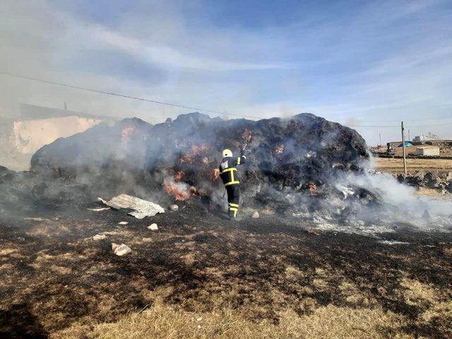 Susuz'da 40 ton ot yandı