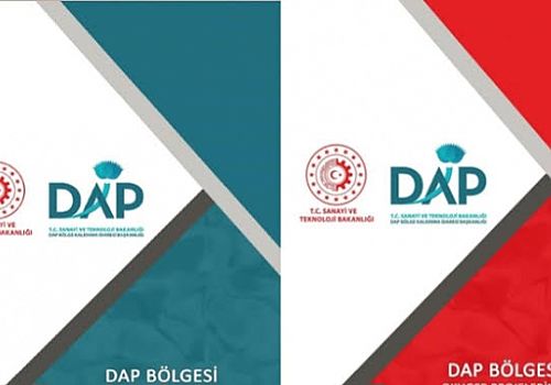 2025 yılın da DAP Bölge Kalkınma İdaresi 73 projeyi 423 milyon 309 bin 879 lira ile destekleyecek