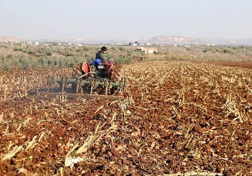 5 milyar 496 milyon 99 bin TL destekleme ödemesi yarın çiftçilerin hesaplarına aktarılacak