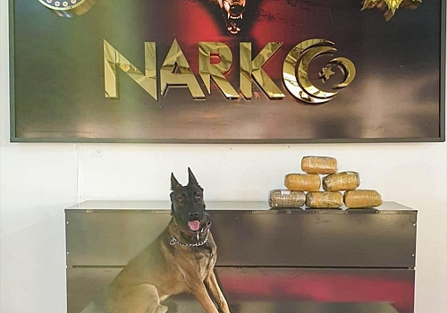 Ağrı'da aracında uyuşturucu ele geçirilen sürücü tutuklandı