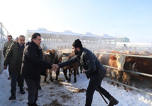 Ardahan Belediye Başkanı Faruk Demir sabahın erken saatlerinde hayvan pazarını ziyaret etti.