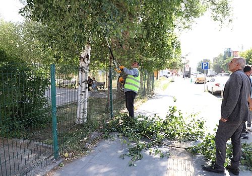 Ardahan Belediyesi ağaç budama çalışmalarına devam ediyor