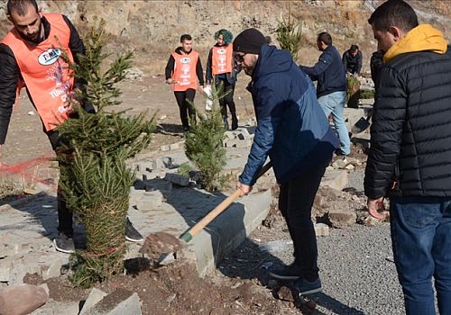 Ardahan Belediyesi Kura Çevresinde Ağaçlandırma Çalışmaları Yaptı 