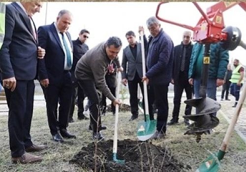 Ardahan Belediyesi’nden 11 Kasım Milli Ağaçlandırma Günü’nde Yeşil Dokunuş